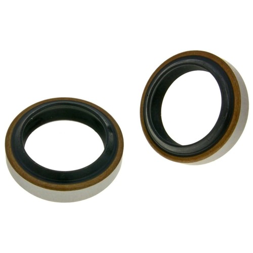 Kit guarnizioni forcella