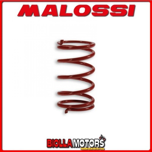 296955 molla contrasto - molla,